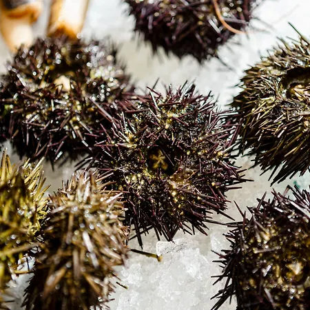 Zaccardi Ξενοδοχείο